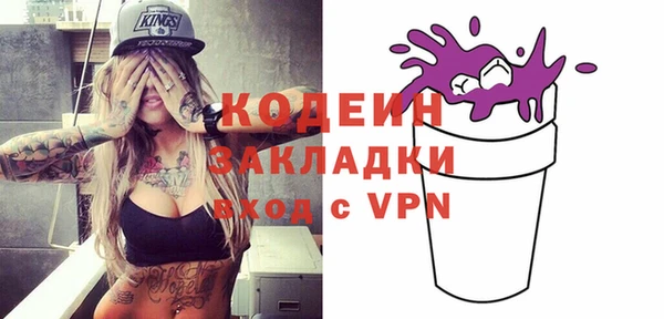 хмурый Алексин
