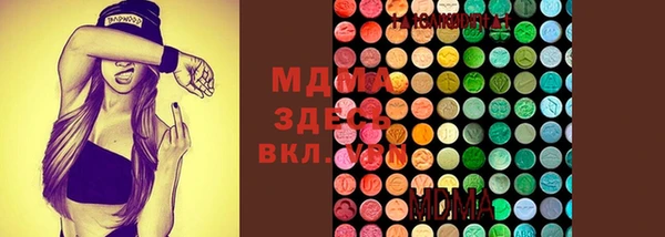 хмурый Алексин