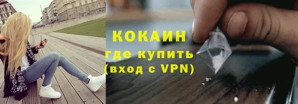 хмурый Осинники