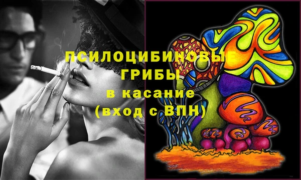 хмурый Алексин
