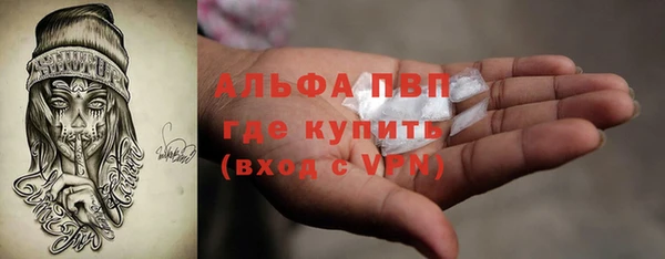спайс Алзамай