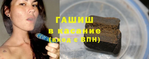 хмурый Алексин