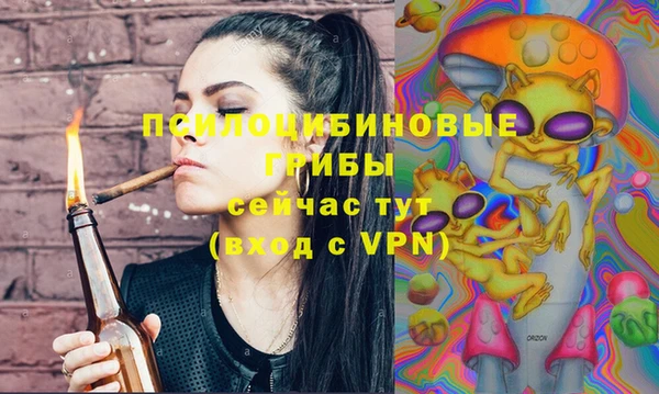 хмурый Алексин