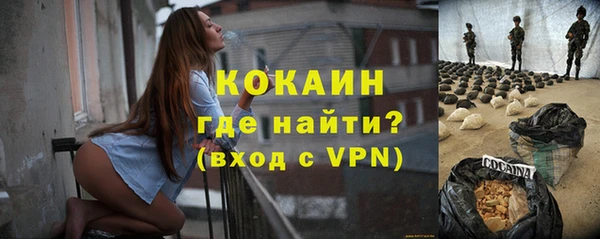 хмурый Алексин