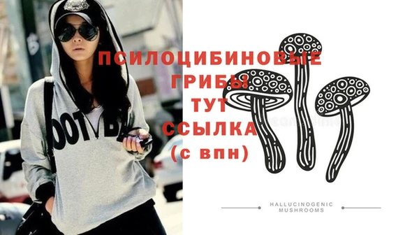 спайс Алзамай