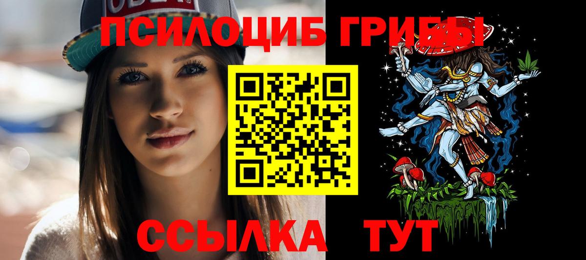 даркнет сайт  Галлюциногенные грибы Psilocybe  Вход с VPN  Сунжа 