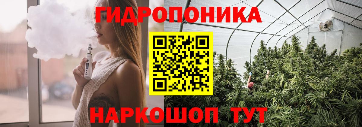 Бошки марихуана гибрид Сунжа